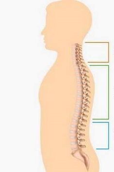osteochondrosis lesion of different parts of the spine
